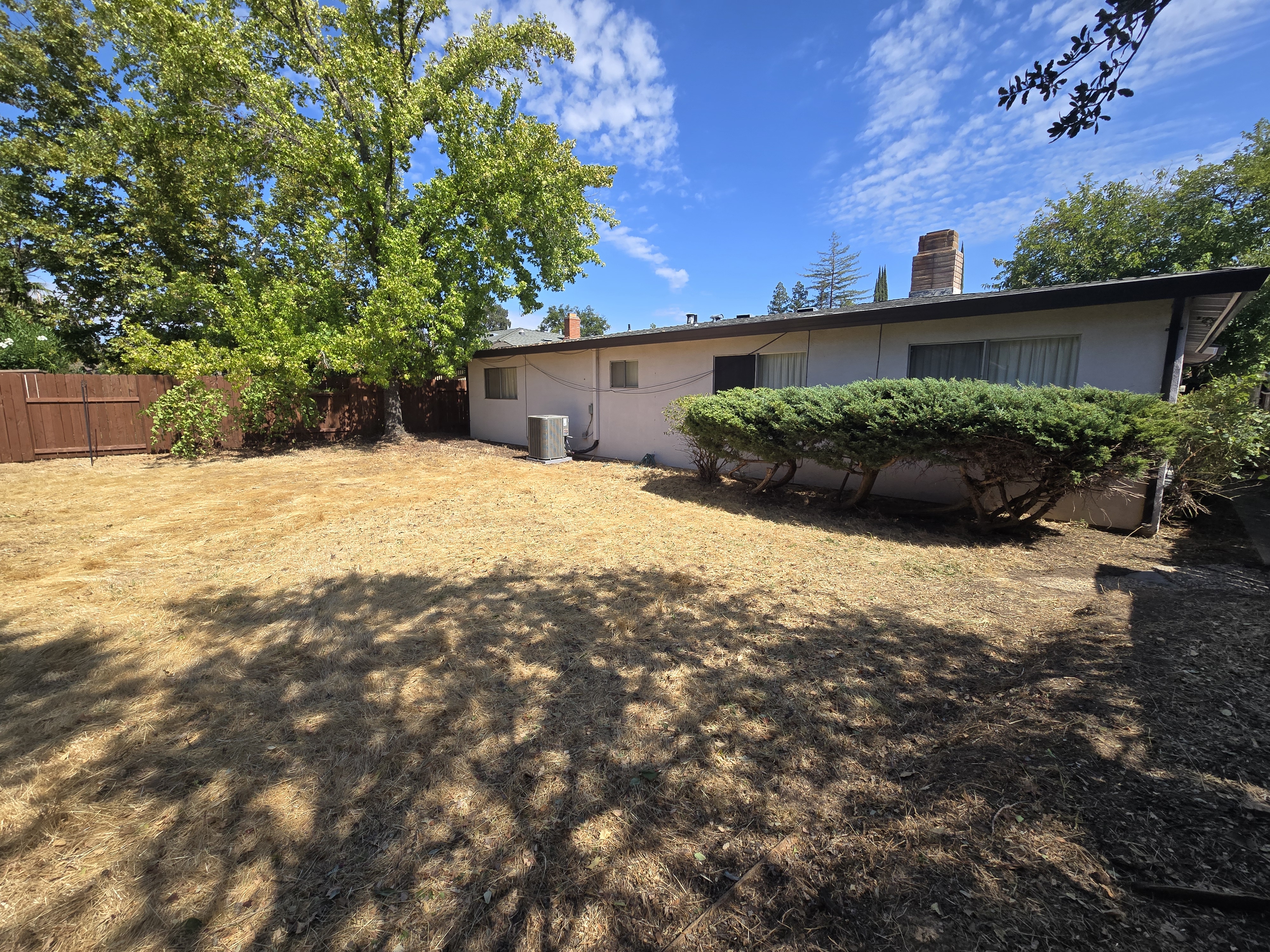 Same Sacramento, CA yard after a GREEN1SCAPE heavy yard cleanup