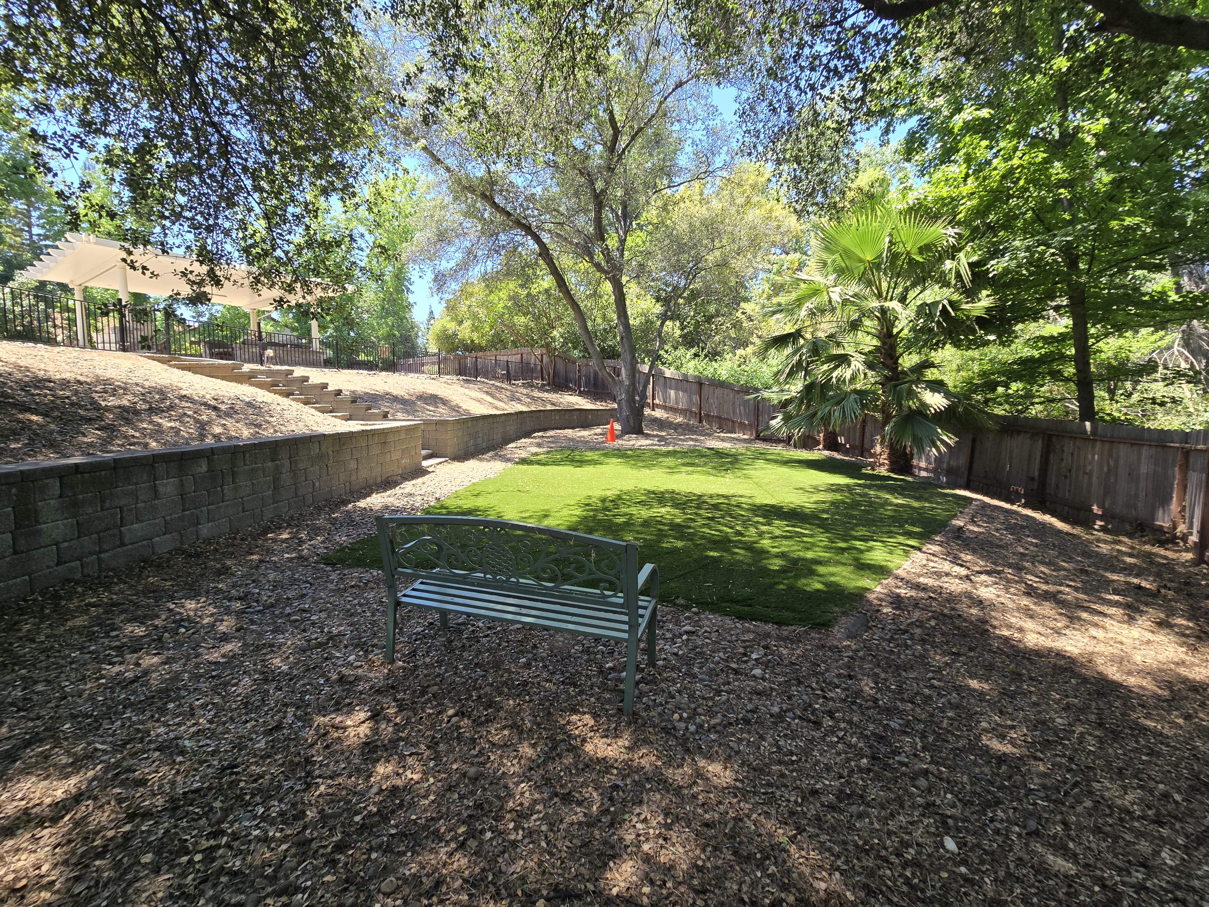 Same Rocklin, CA yard after a GREEN1SCAPE heavy yard cleanup