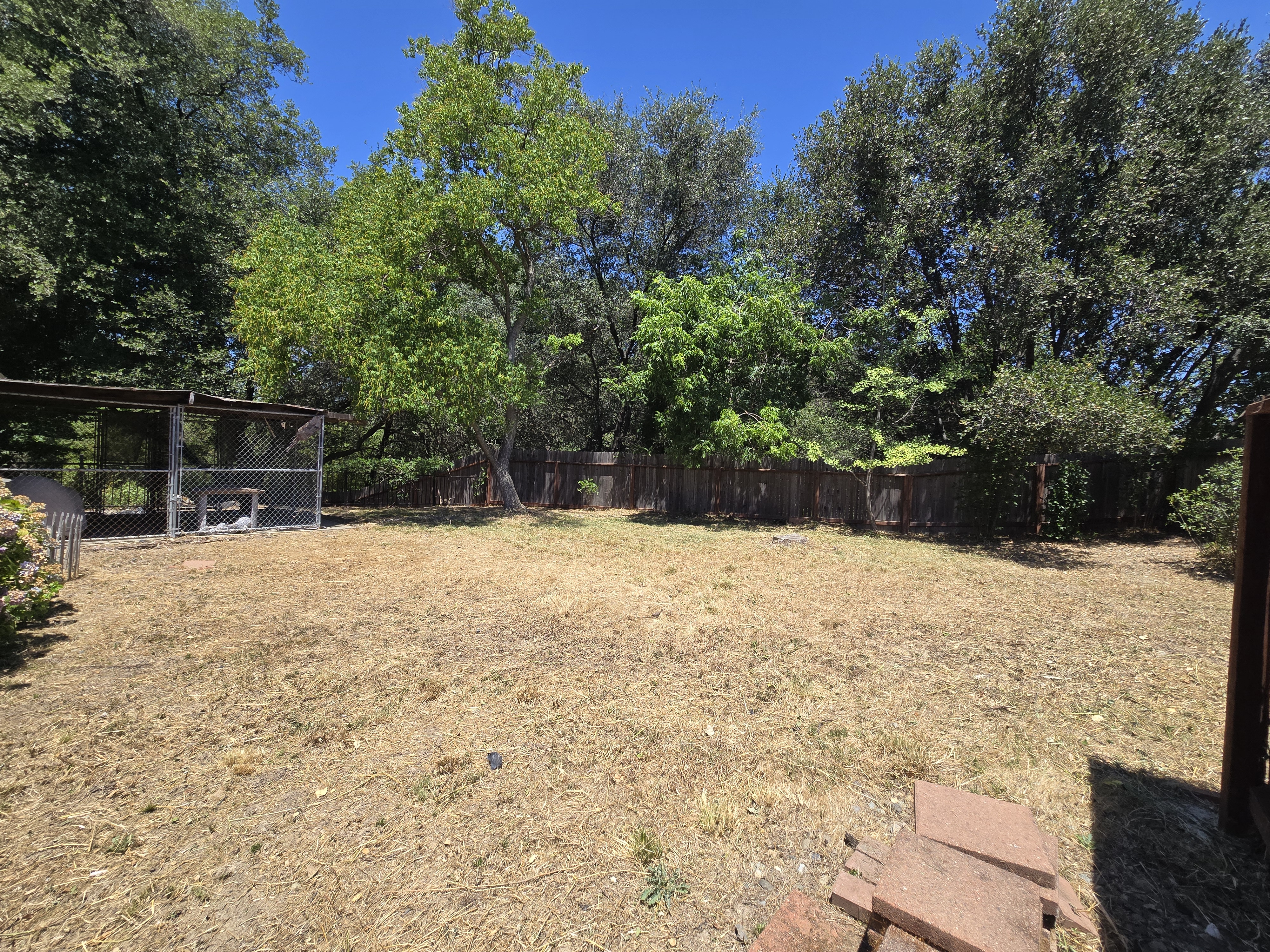 Same Rocklin, CA yard after a GREEN1SCAPE heavy yard cleanup