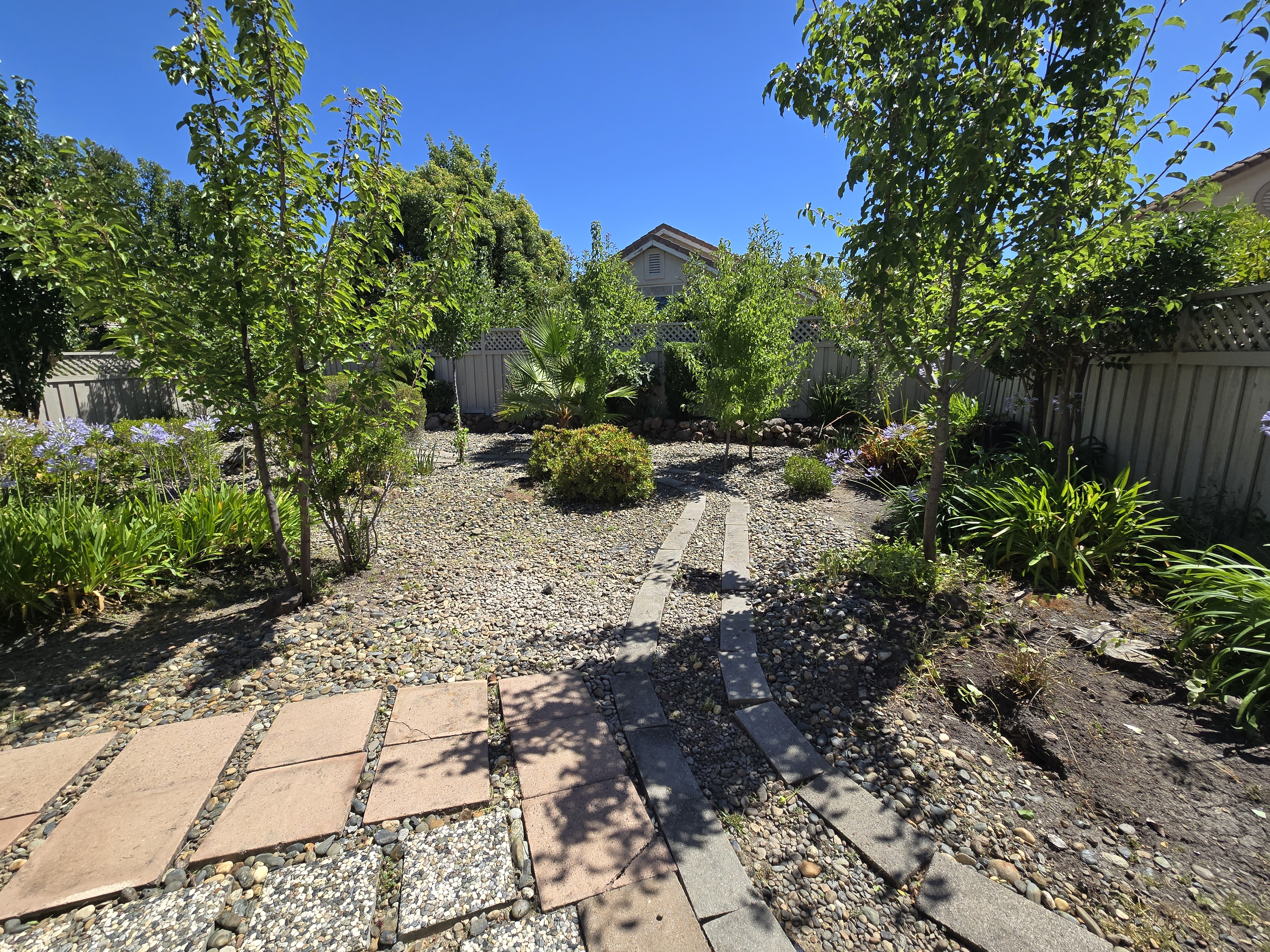 Same Roseville, CA yard after a GREEN1SCAPE heavy yard cleanup