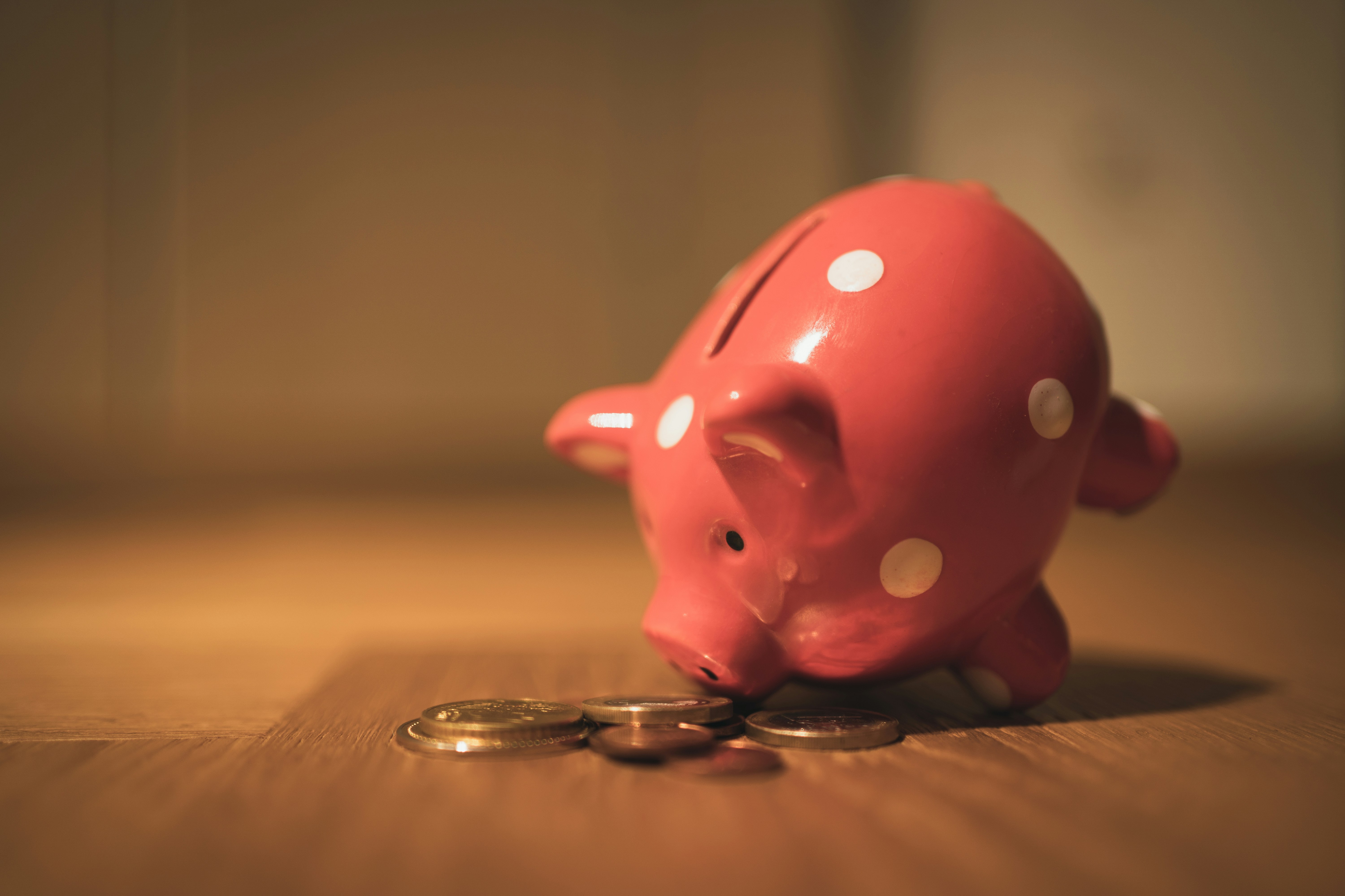 Budget Friendly