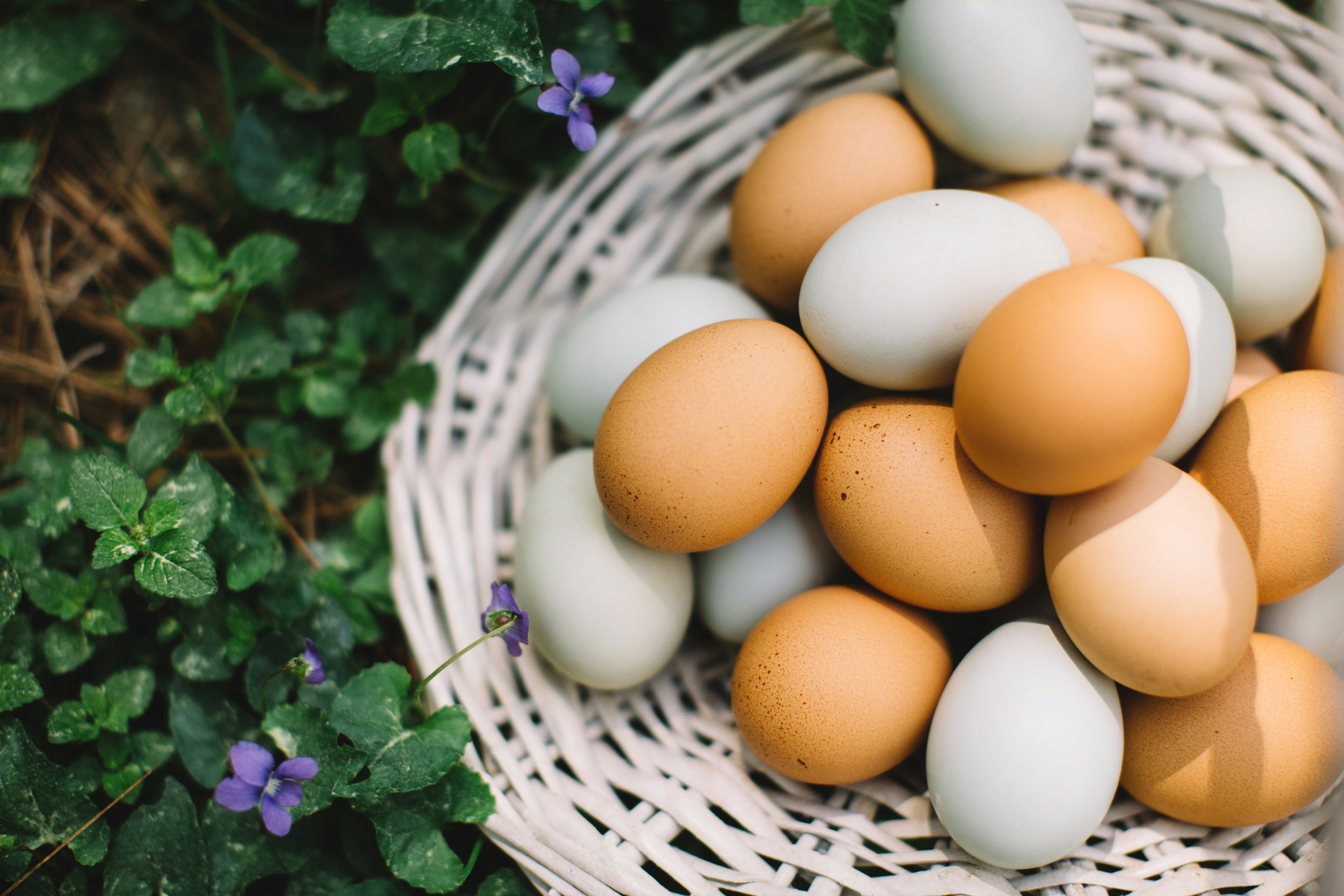 All your eggs in one basket