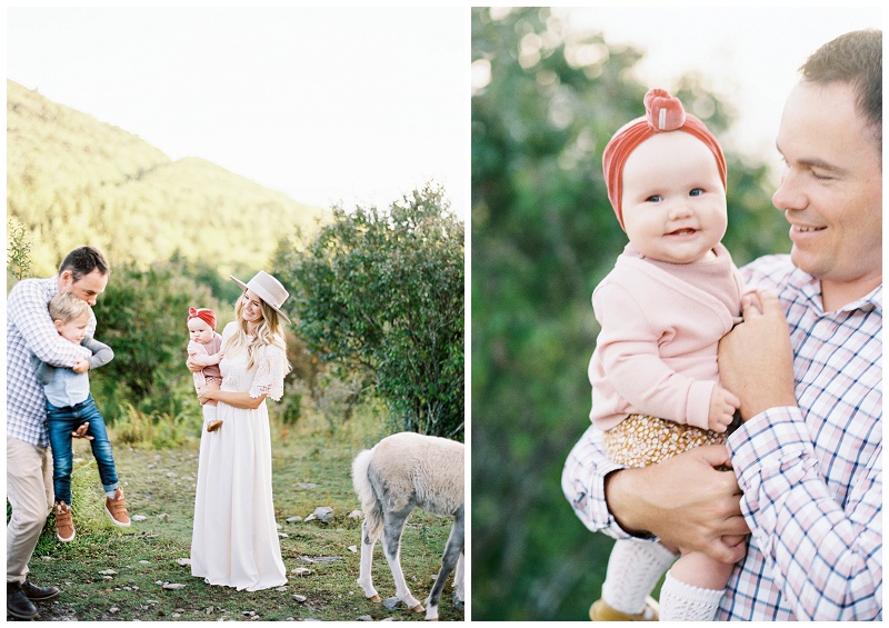 Candid family photography with wild ponies in southwest Virginia