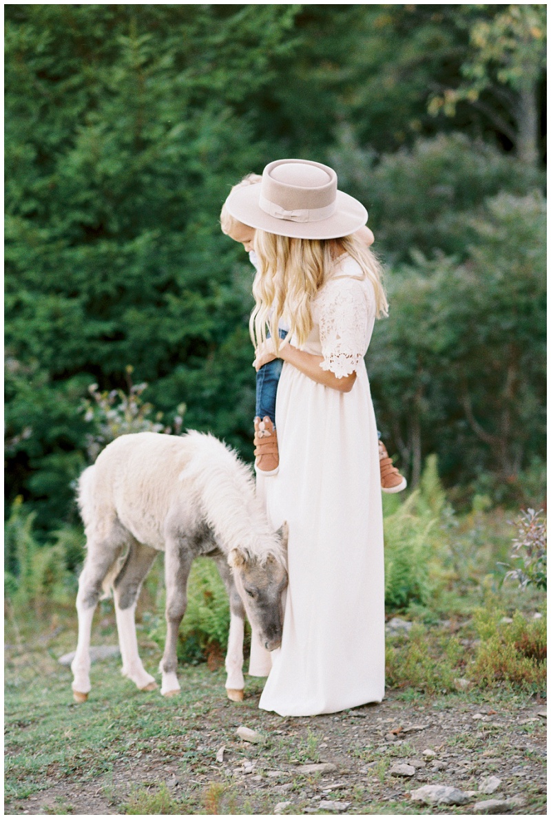 Family portraits in Grayson Highlands State Park with mountain views