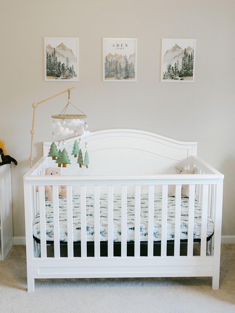 lifestyle newborn portraits Johnson City TN home session