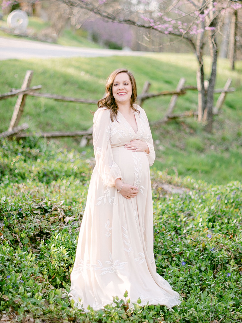 maternity portraits Kingsport TN soft natural light