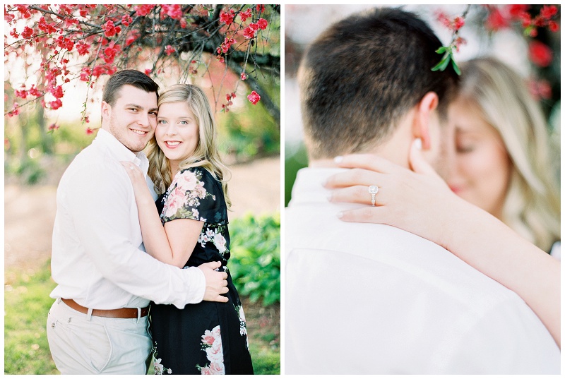 couple under blooming cherry blossom trees Jonesborough