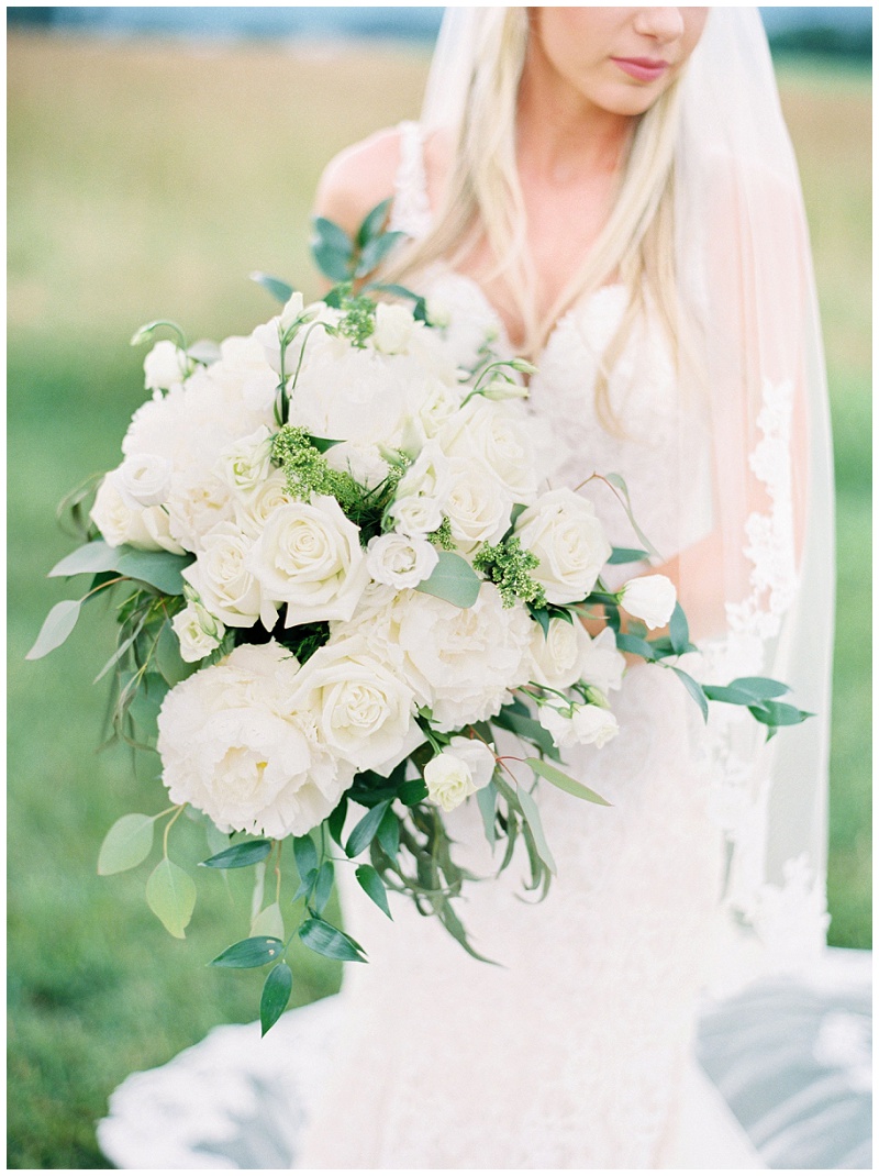 Tennessee bride farmhouse wedding portrait