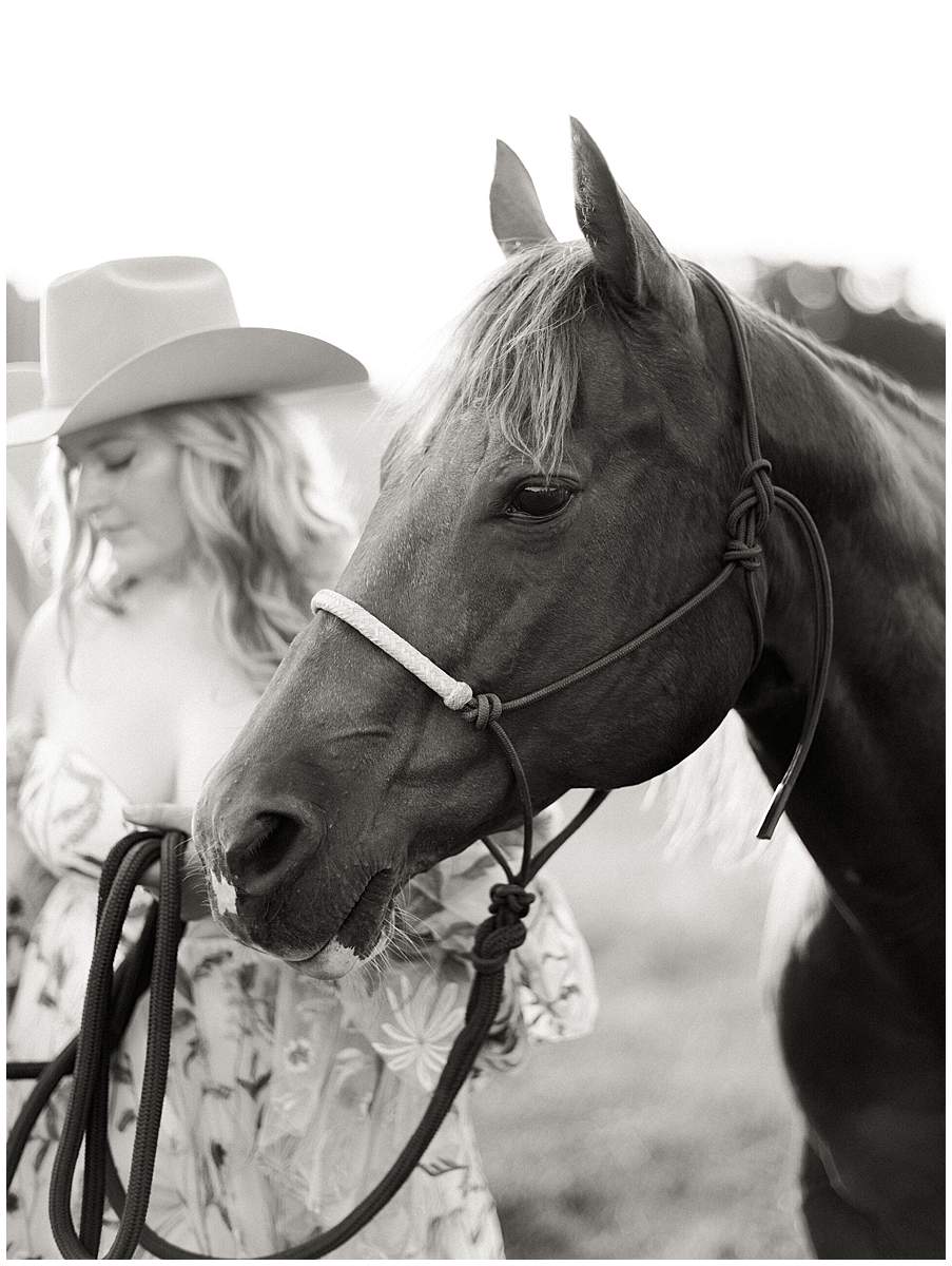 Knoxville TN engagement photos golden hour horse