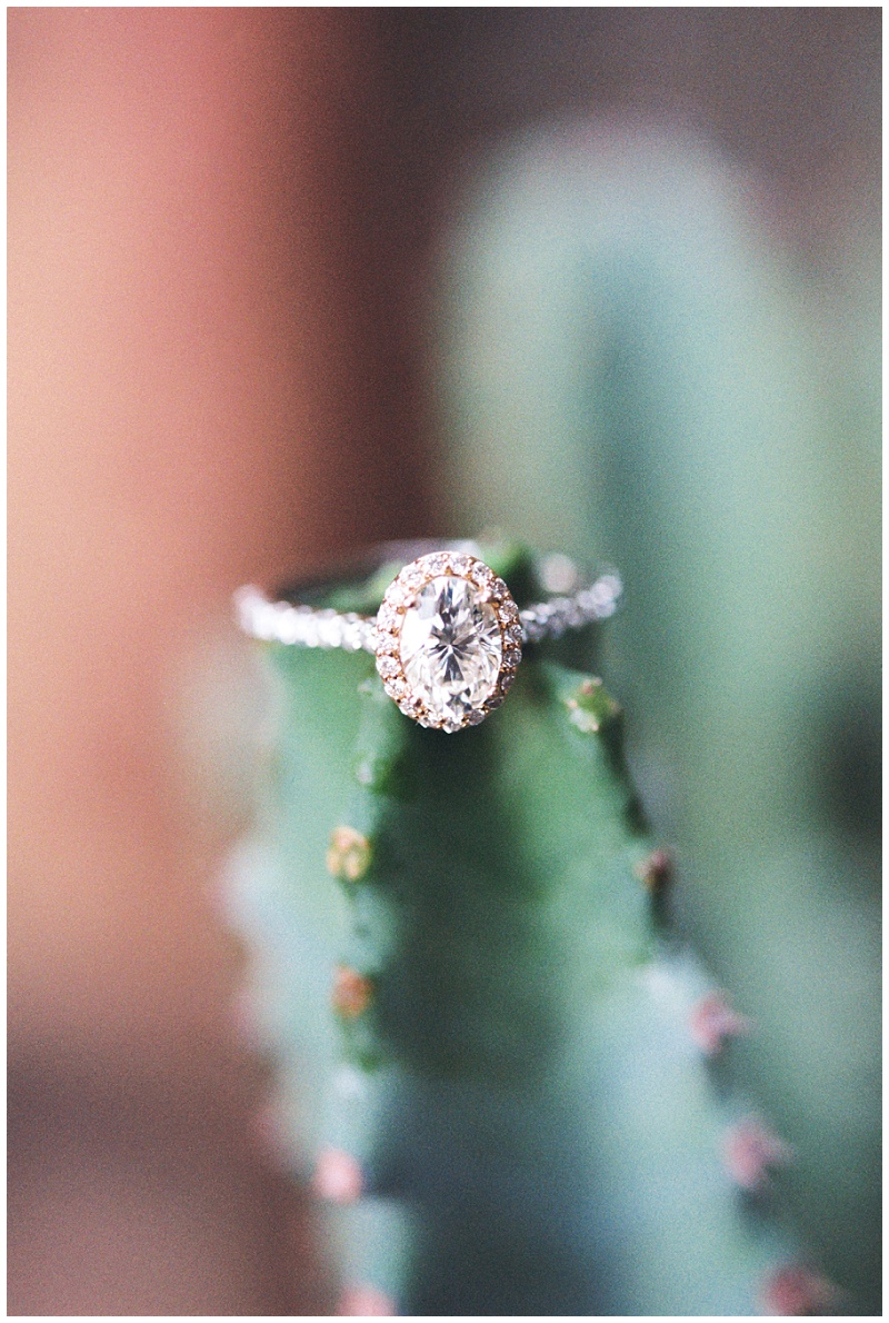 couple engagement photos Saguaro Lake desert landscape