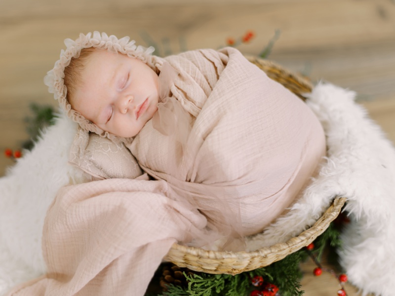 newborn session newborn swaddled in basket
