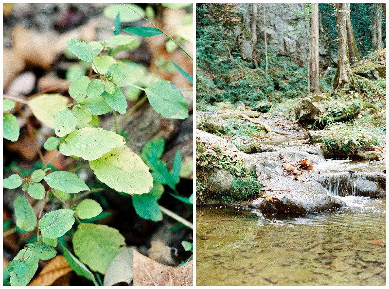 waterfall elopement Fall Branch TN couple ceremony