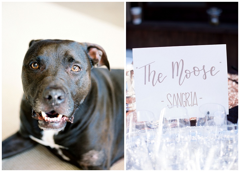 reception drink East Tennessee backyard wedding