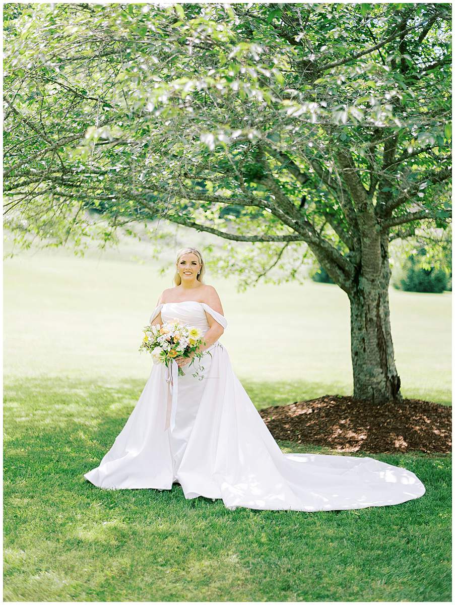 elegant bride portrait at home wedding Elizabethton TN