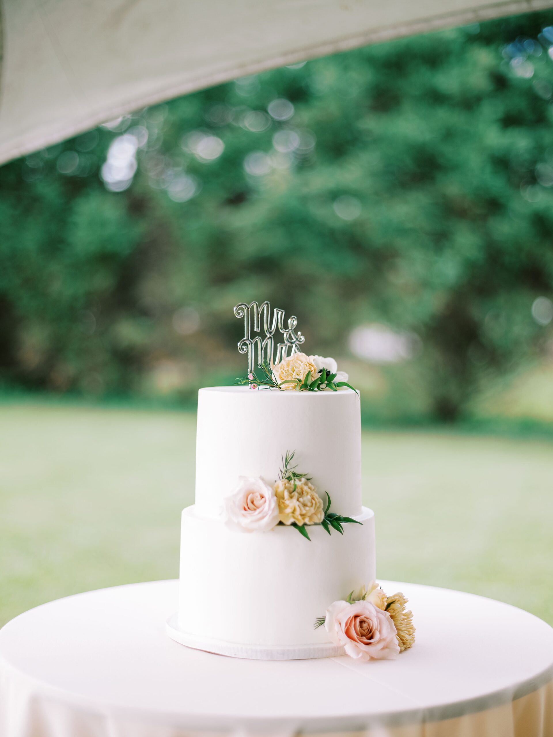 outdoor reception celebration East Tennessee photographer