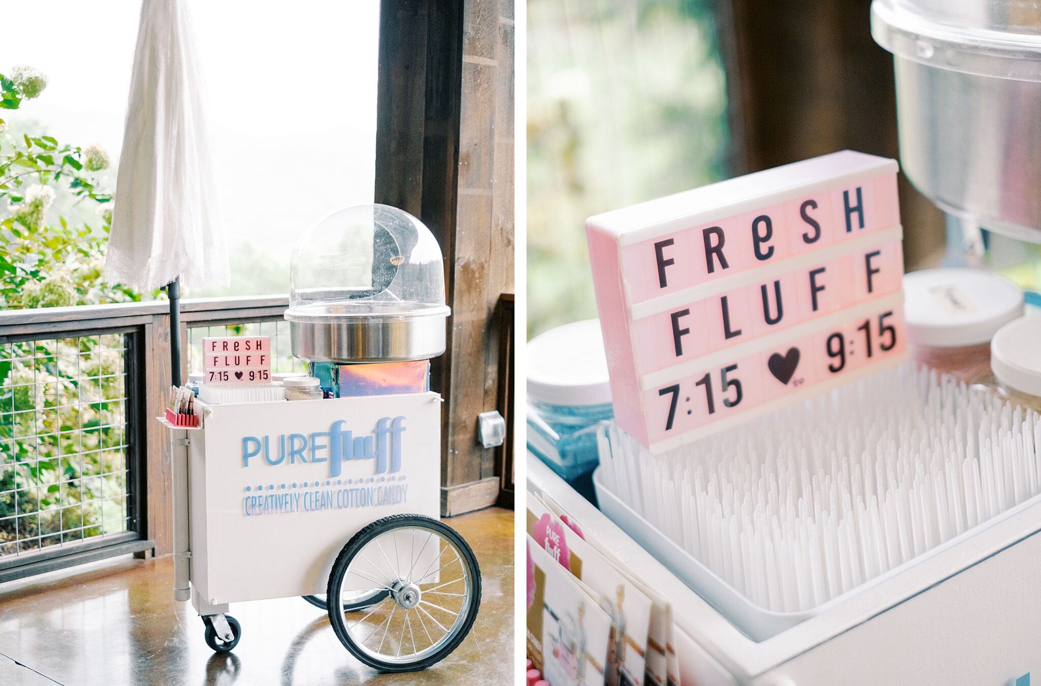 Wedding reception details cotton candy bar Blue Ridge Mountains