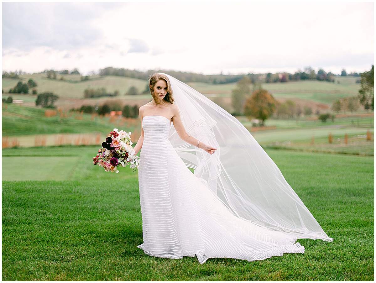 Romantic bridal portrait at The Olde Farm wedding in Virginia