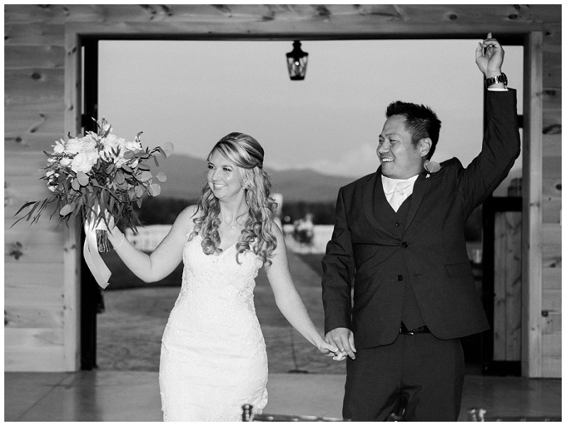 Bride and groom reception entrance at The Homeplace at Johnston Farm wedding