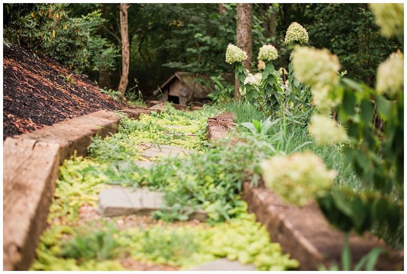 The Millstone wedding venue scenic exterior surrounded by greenery The Millstone wedding venue scenic exterior surrounded by greenery