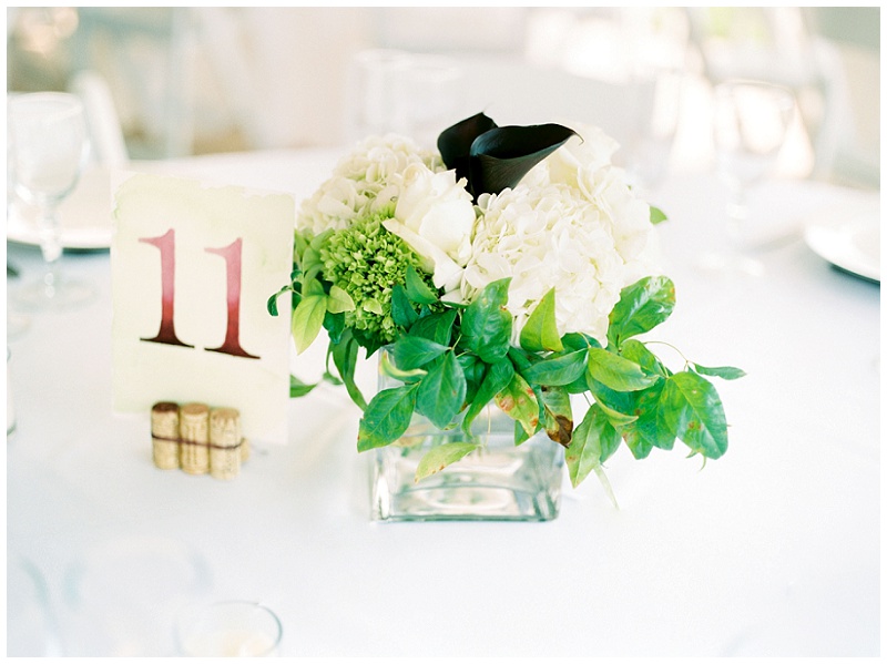 Summer wedding reception in Blountville TN