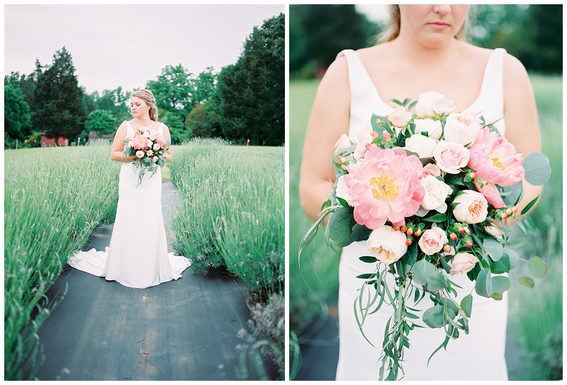 Charlotte NC wedding photographer lavender bridal session