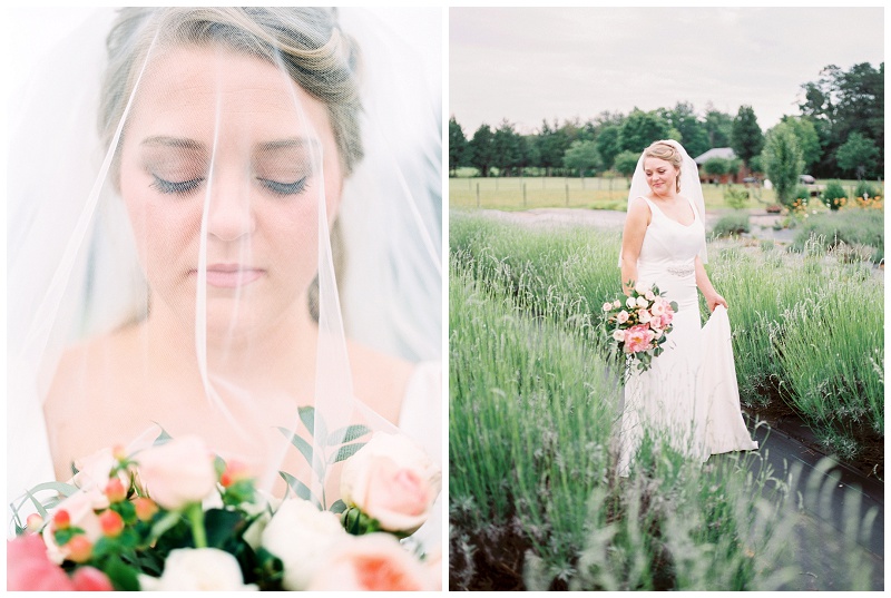 Bride portrait in lavender field Charlotte NC photographer