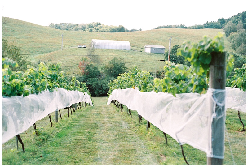 Banner Elk Winery wedding scenery mountain view