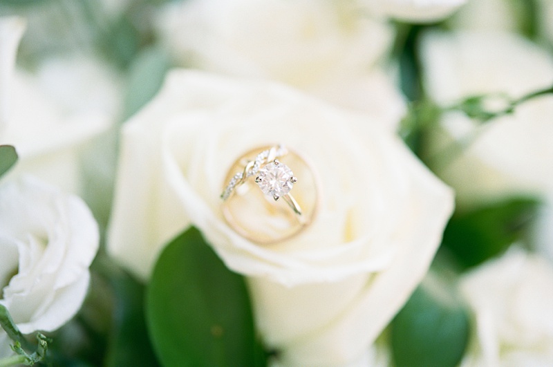 wedding rings close up waterfall venue wedding rings close up waterfall venue