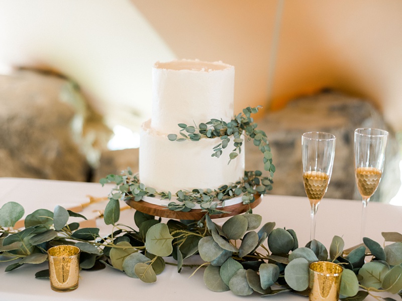 rustic wedding reception cake Tennessee wedding rustic wedding reception cake Tennessee wedding