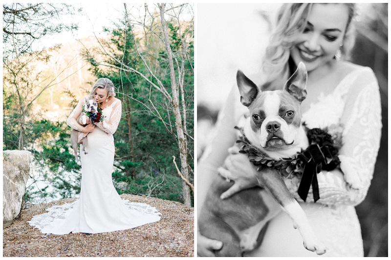 floral wreath dog wedding photos floral wreath dog wedding photos