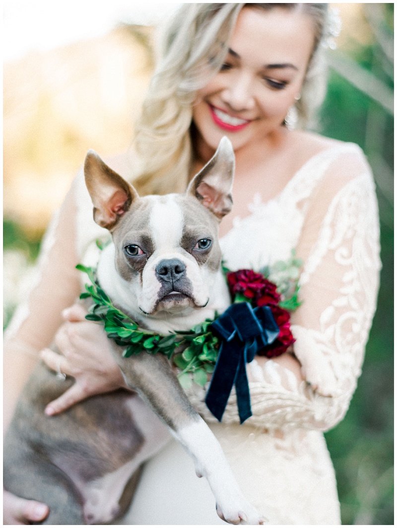 bridal session with dog at Waterstone venue bridal session with dog at Waterstone venue