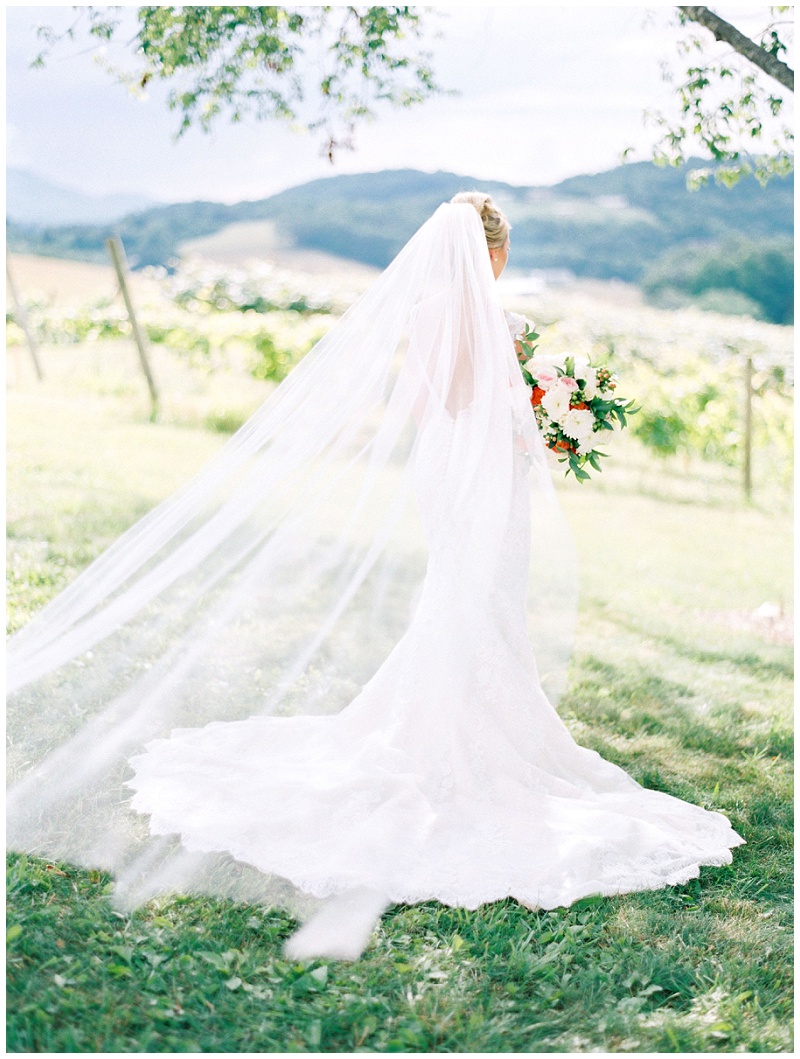 bridal photo vineyard setting TN