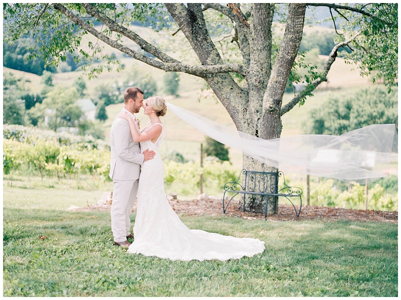 joyful newlyweds vineyard setting TN