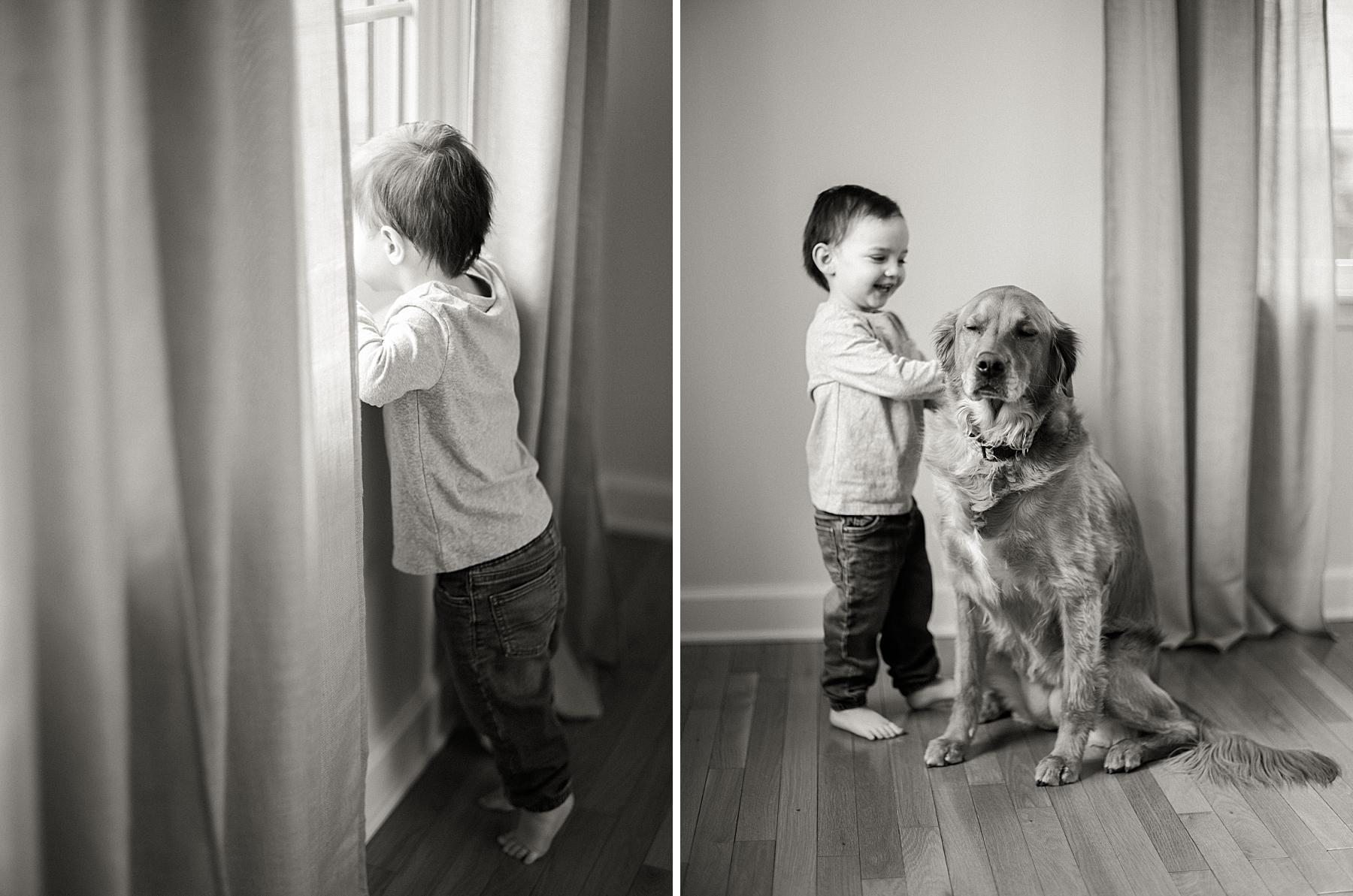 Golden retriever relaxing near the family during a lifestyle newborn photography session