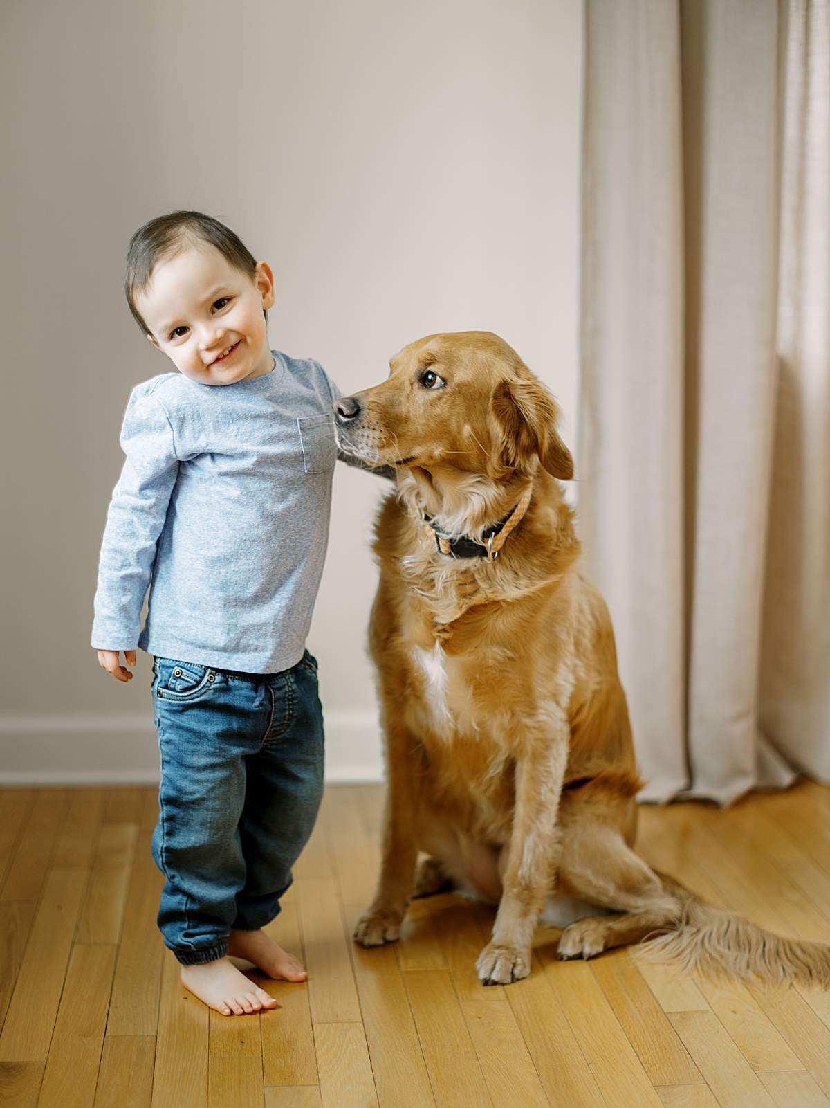 Golden retriever looking loyally at the new baby during a home photography session