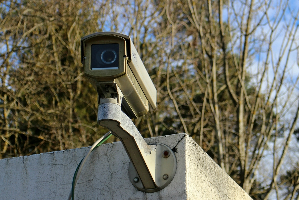 Home Security in Georgia