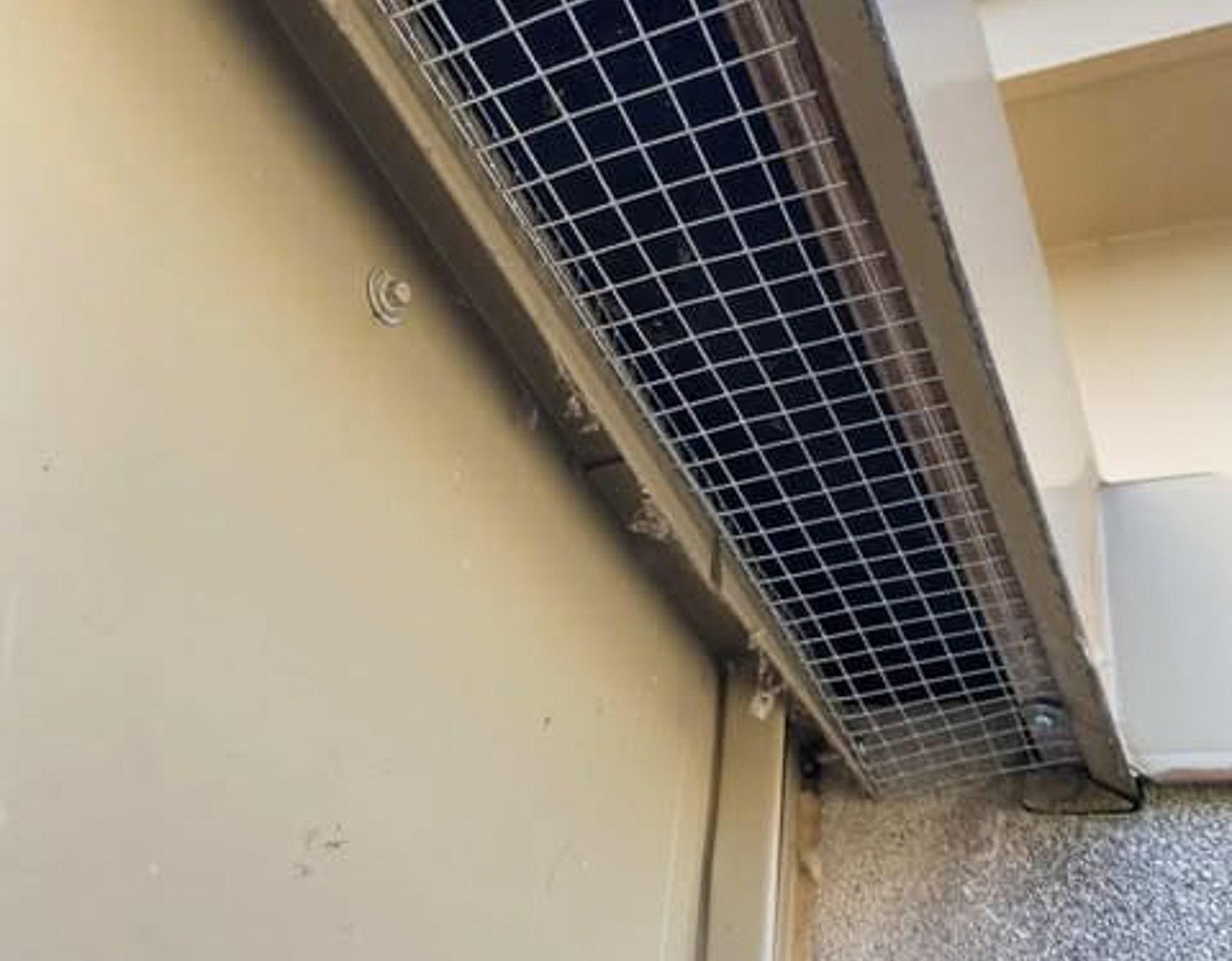 Bird Control MONTREAL