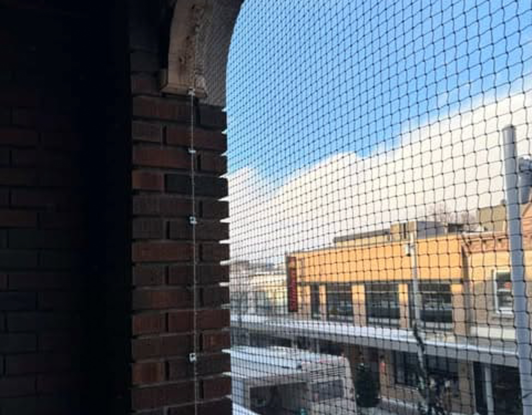 Insect Pest Control MONTREAL