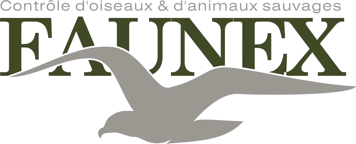 Insect Pest Control in MONTREAL