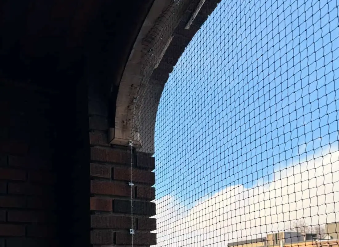 Insect Pest Control MONTREAL