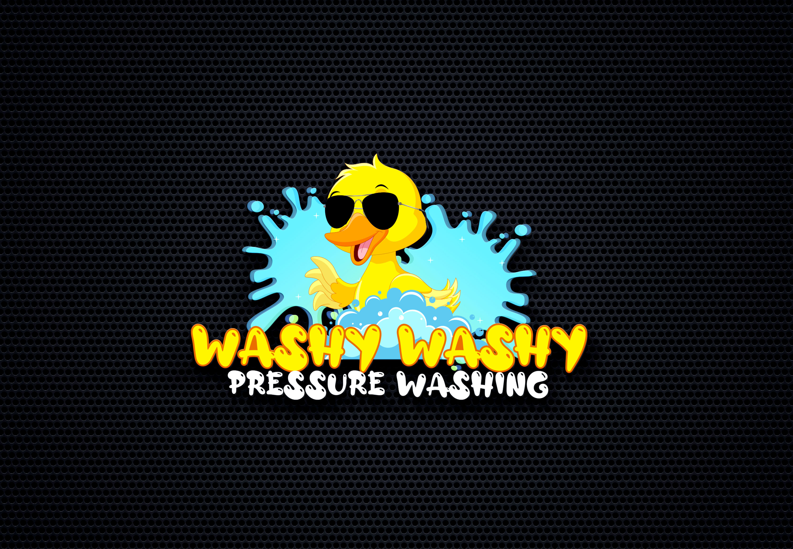 Washy Washy Pressure Washing, Anderson Creek, North Carolina Pressure Washing