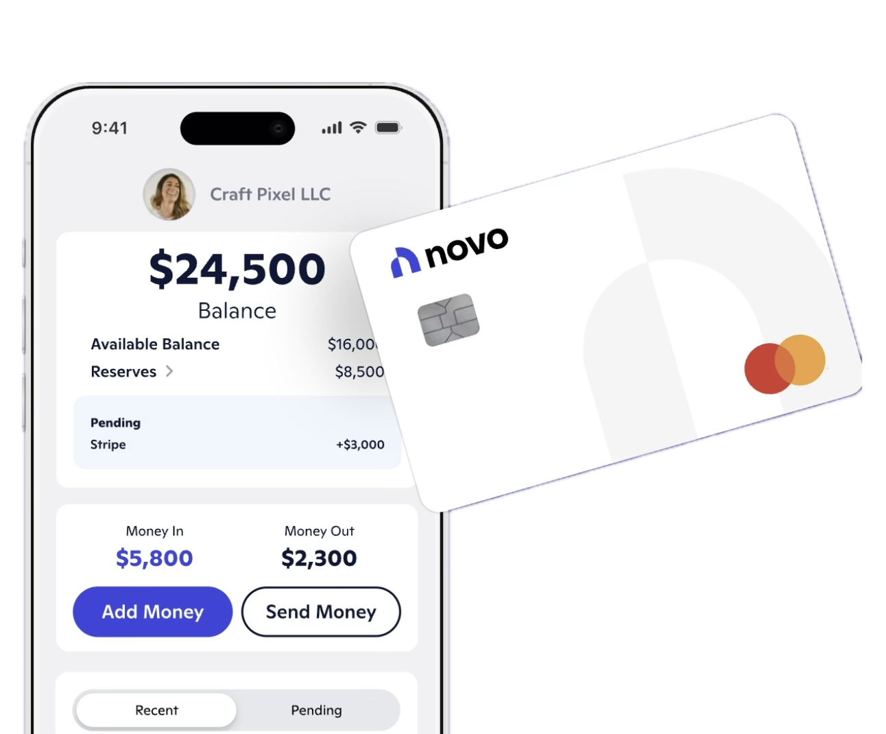 Novo Business Banking Interface