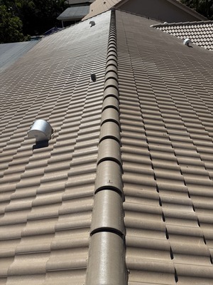 {{ custom_values.service_3 }} in {{custom_values.area_5})