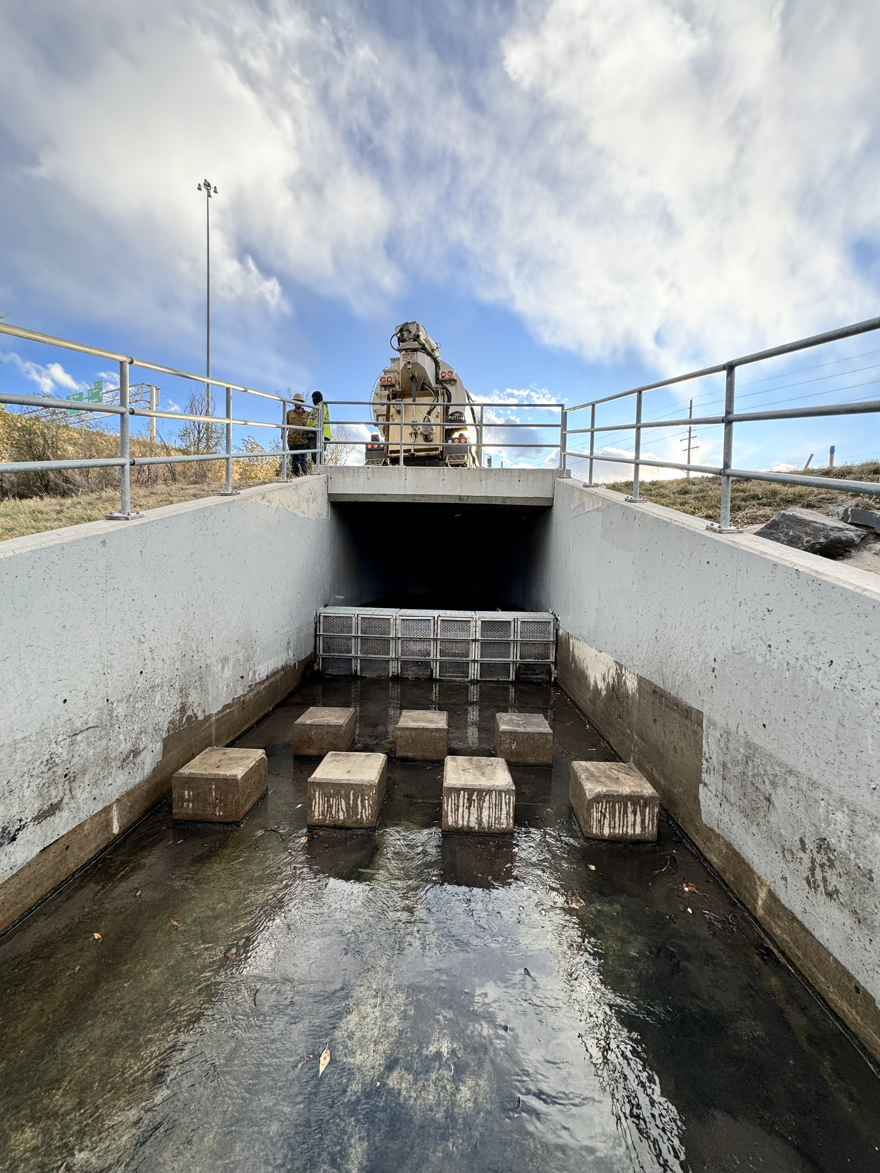 Aurora Environmental Consultation