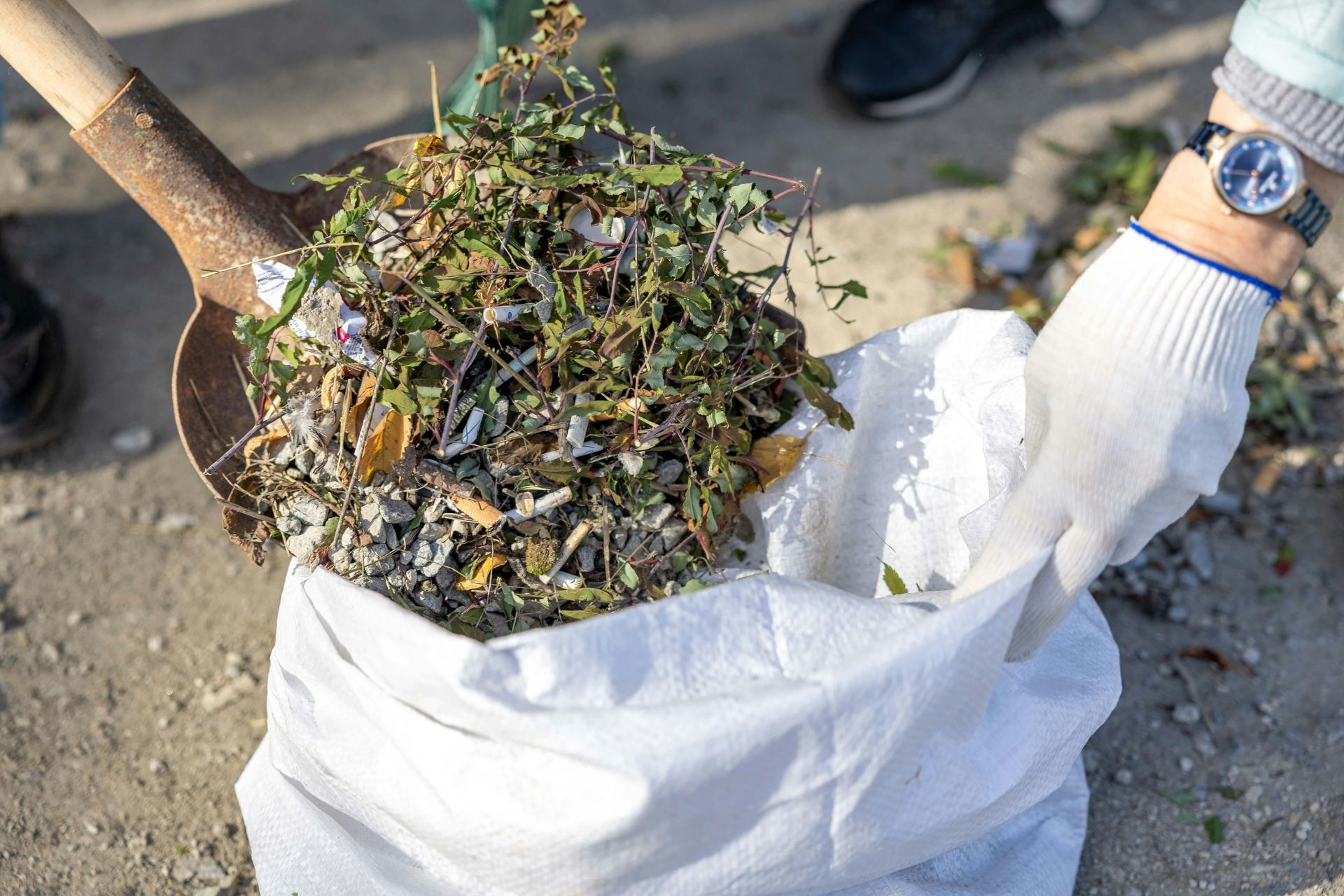 Spring Cleanup in Provo, Utah