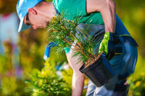 Pleasant Grove, Utah Sprinkler Installation & Repairs