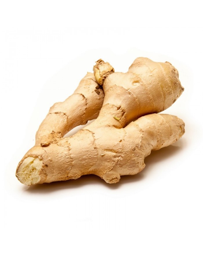 Gingembre
