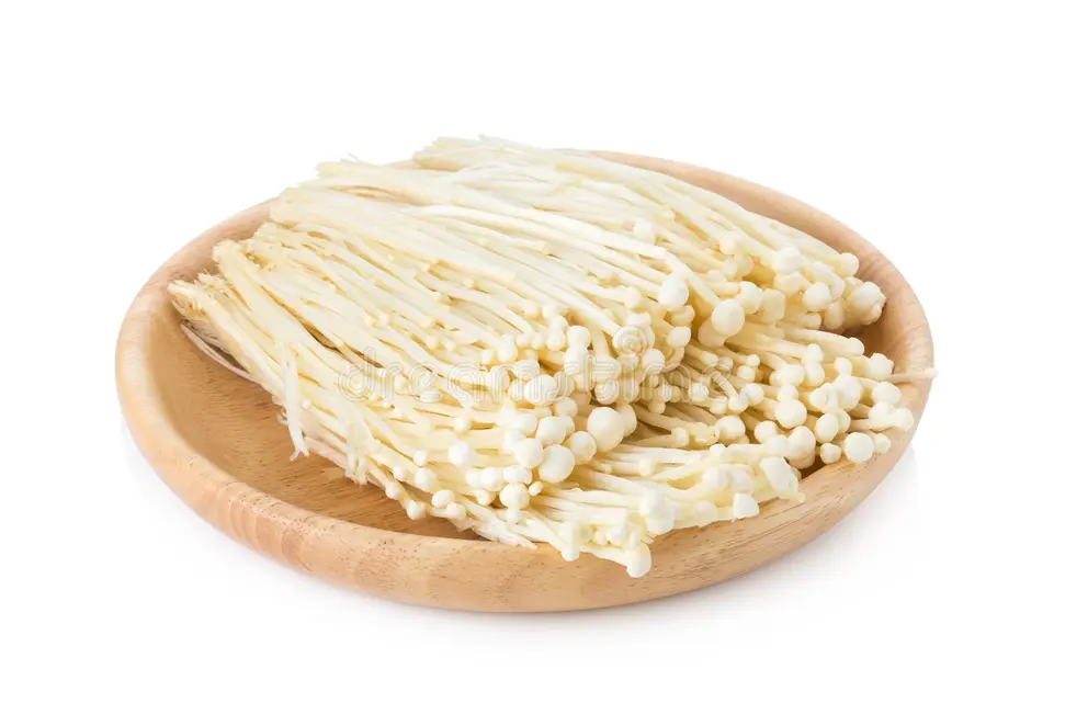 Enoki