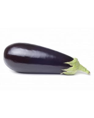 Aubergine