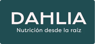 Raquel Rueda business logo